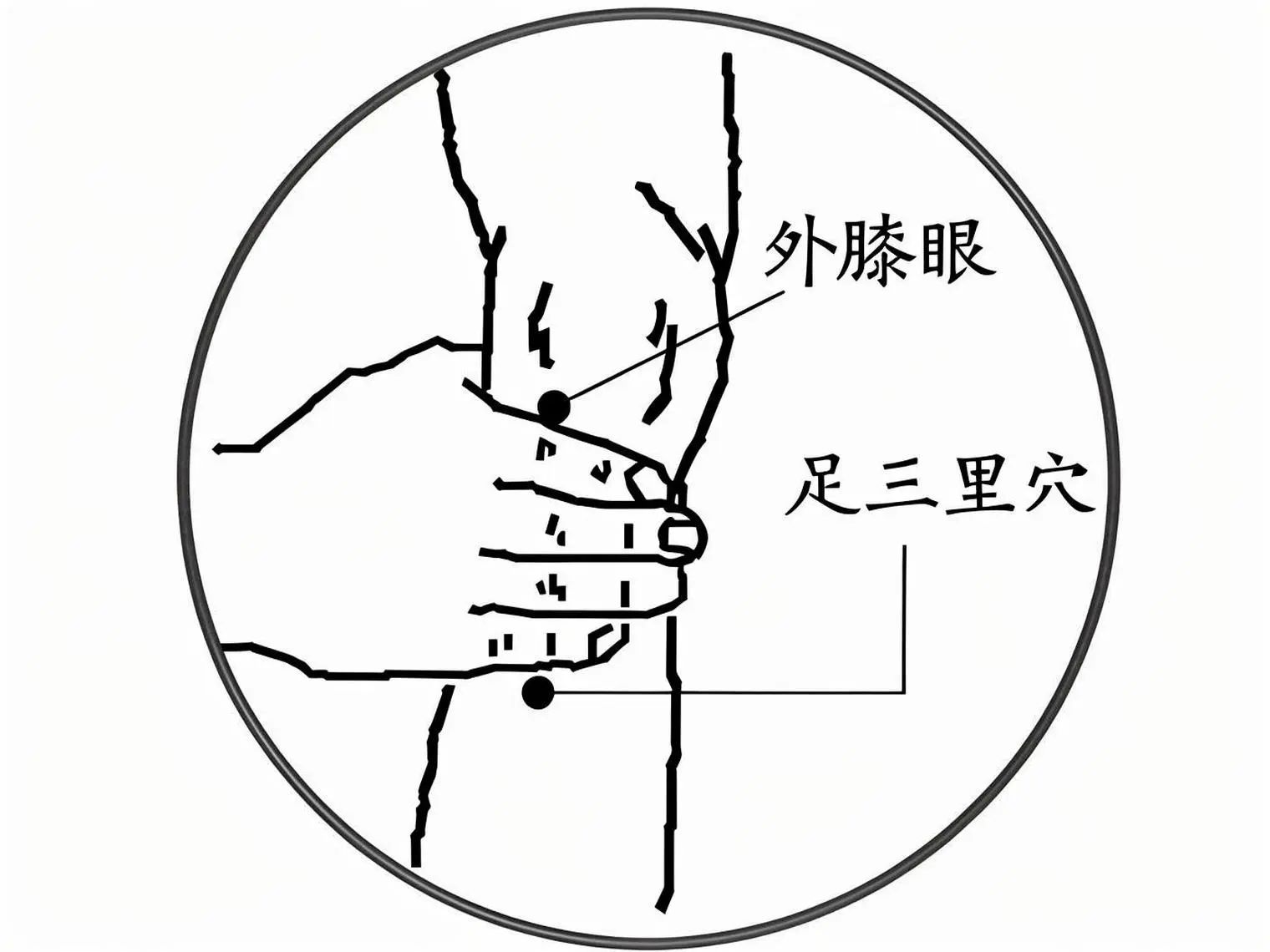 91443a34170ff7118782032a6f032acd.jpg 91443a34170ff7118782032a6f032acd.jpg